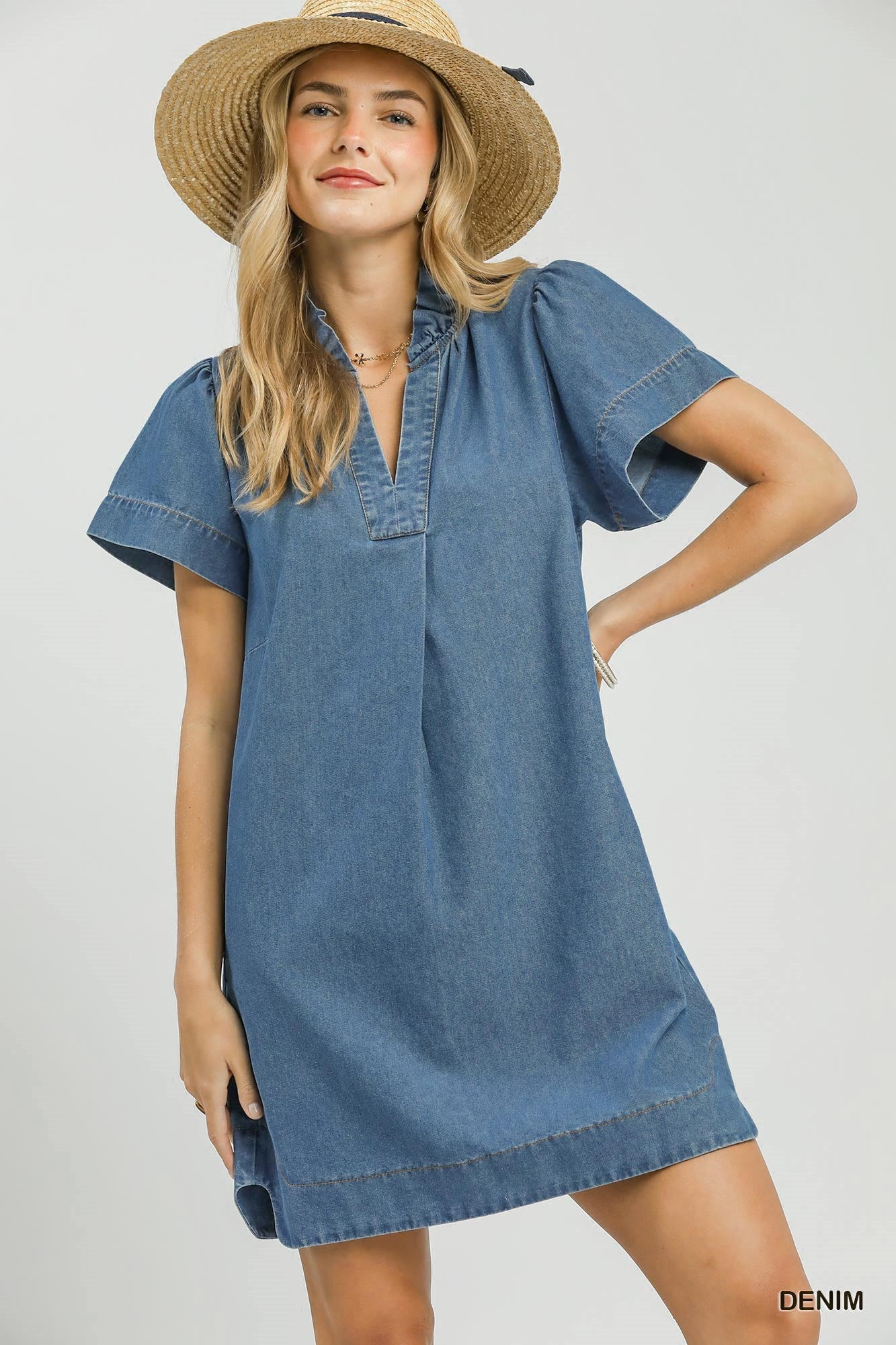 Denim Ruffle Collar Mini Dress