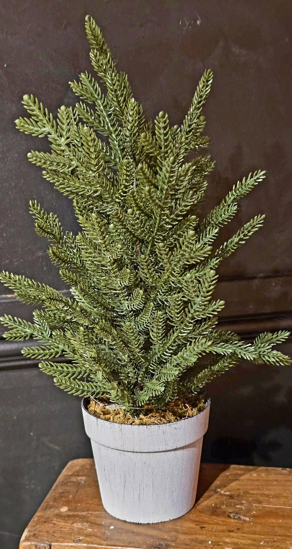 Evergreen Loft 15in